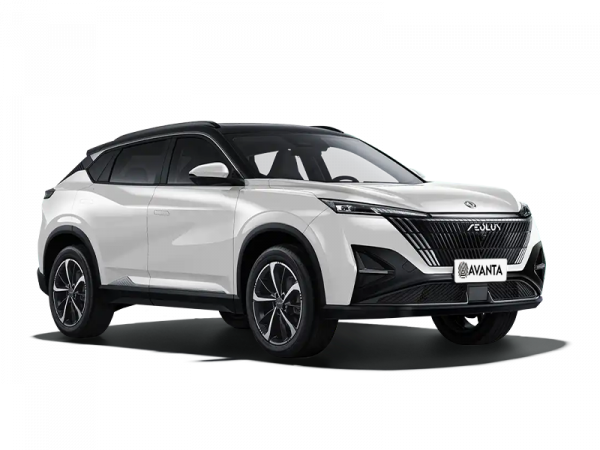 Dongfeng Mage Белый с черной крышей