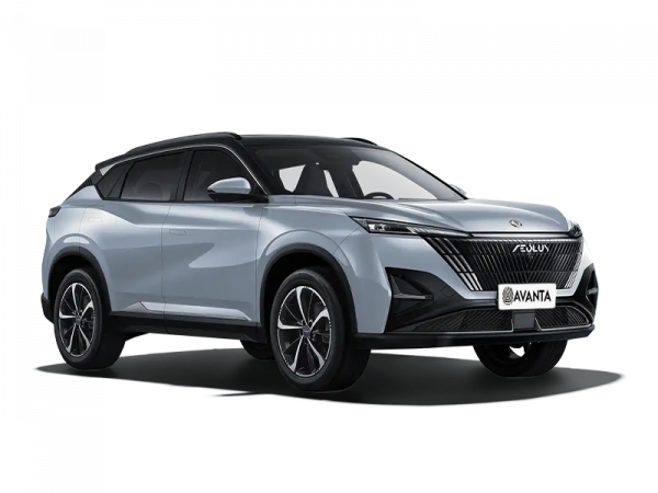 Dongfeng Mage Серебристый с черной крышей