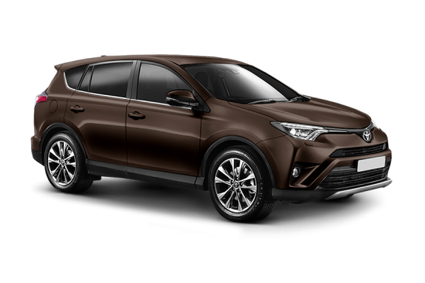 Toyota RAV4 2019 Коричневый