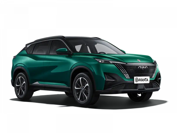 Dongfeng Mage Зеленый с черной крышей