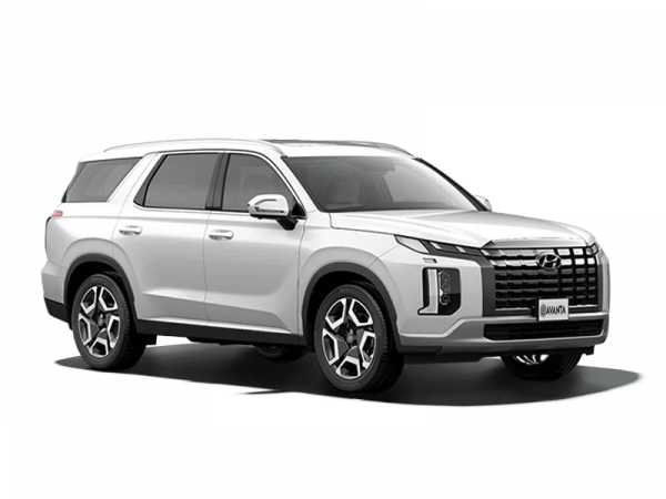 Hyundai Palisade NEW