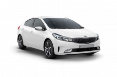 Cerato Classic