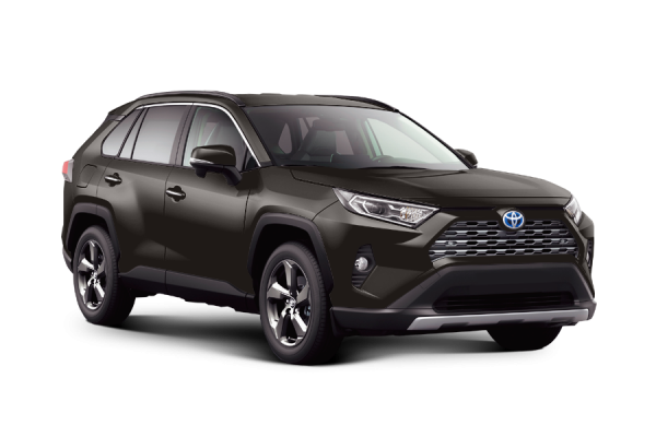 Toyota RAV4 Серо-коричневый