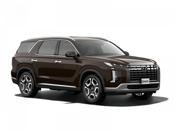 Hyundai Palisade NEW Calligraphy 2.2 AT